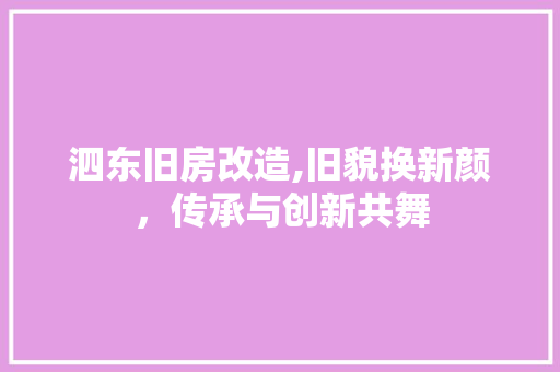 泗东旧房改造,旧貌换新颜，传承与创新共舞
