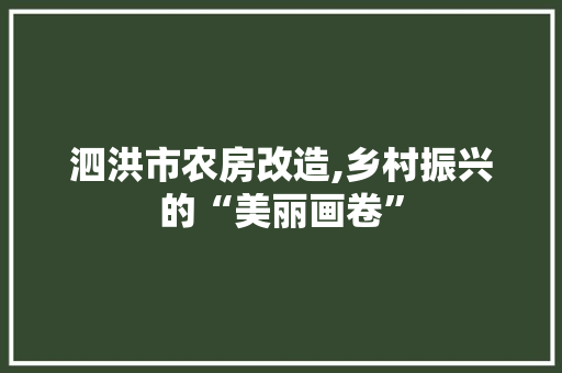泗洪市农房改造,乡村振兴的“美丽画卷” 门窗装修