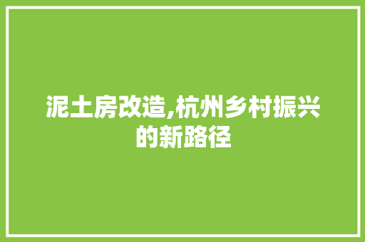 泥土房改造,杭州乡村振兴的新路径