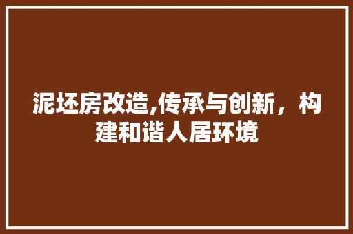 泥坯房改造,传承与创新，构建和谐人居环境