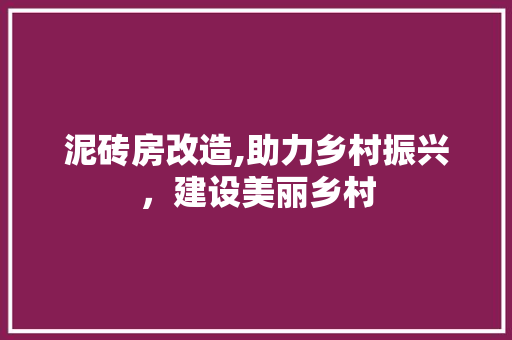 泥砖房改造,助力乡村振兴，建设美丽乡村 地面装修