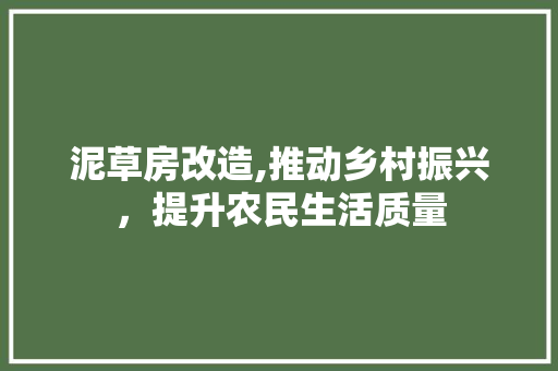 泥草房改造,推动乡村振兴，提升农民生活质量