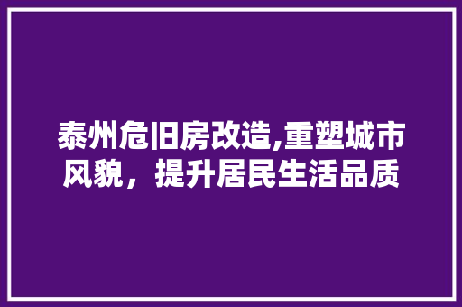 泰州危旧房改造,重塑城市风貌，提升居民生活品质