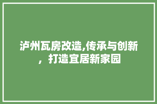 泸州瓦房改造,传承与创新，打造宜居新家园 地面装修
