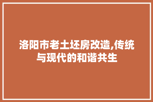 洛阳市老土坯房改造,传统与现代的和谐共生