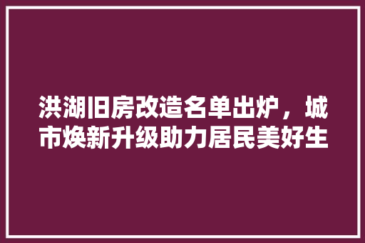洪湖旧房改造名单出炉，城市焕新升级助力居民美好生活