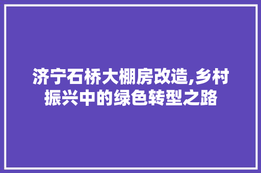 济宁石桥大棚房改造,乡村振兴中的绿色转型之路 隔断设计