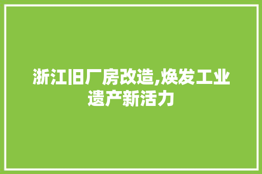 浙江旧厂房改造,焕发工业遗产新活力