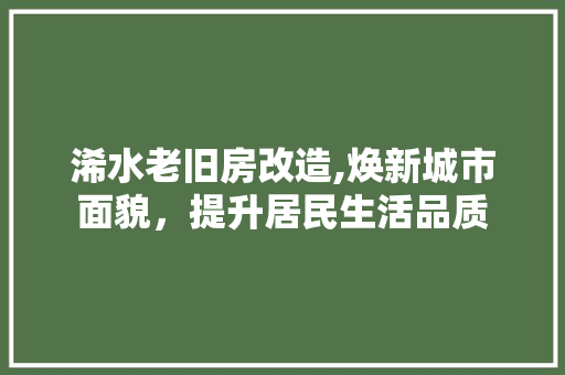 浠水老旧房改造,焕新城市面貌,提升居民生活品质 门窗装修 浠水老旧房改造,焕新城市面貌,提升居民生活品质 门窗装修