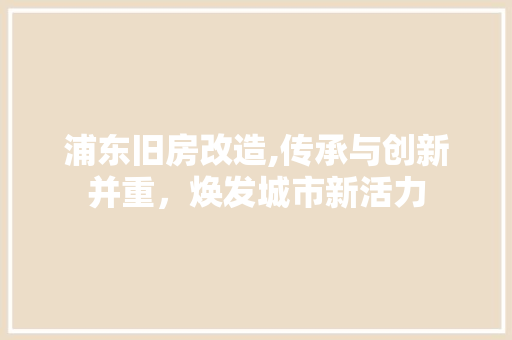 浦东旧房改造,传承与创新并重，焕发城市新活力