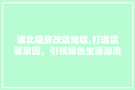 浦北租房改造地毯,打造温馨家园，引领绿色生活潮流