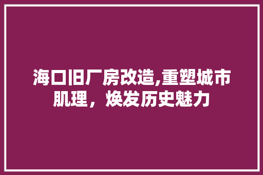 海口旧厂房改造,重塑城市肌理，焕发历史魅力 装修攻略