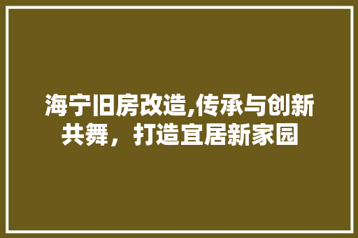 海宁旧房改造,传承与创新共舞，打造宜居新家园 墙面装饰