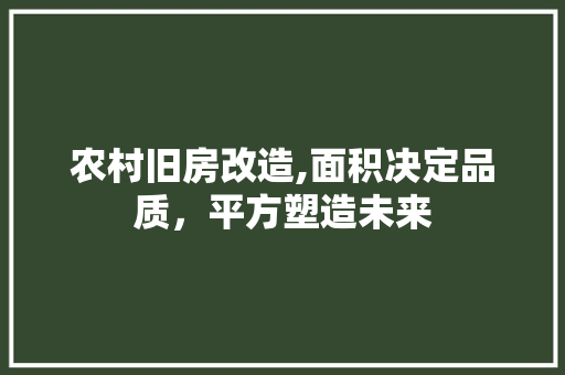 农村旧房改造,面积决定品质，平方塑造未来