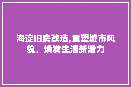 海淀旧房改造,重塑城市风貌，焕发生活新活力