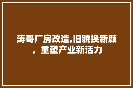 涛哥厂房改造,旧貌换新颜，重塑产业新活力 装修攻略