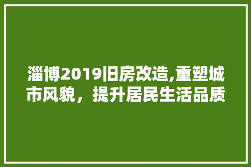 淄博2019旧房改造,重塑城市风貌，提升居民生活品质