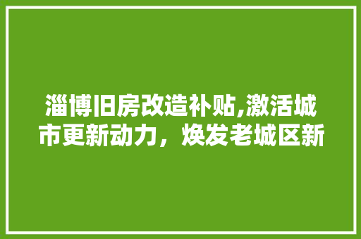 淄博旧房改造补贴,激活城市更新动力，焕发老城区新活力