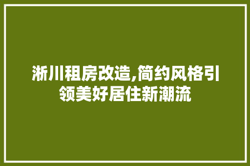 淅川租房改造,简约风格引领美好居住新潮流