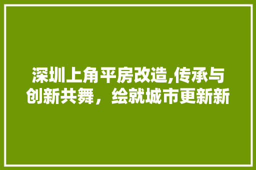 深圳上角平房改造,传承与创新共舞,绘就城市更新新篇章 隔断设计 深圳上角平房改造,传承与创新共舞,绘就城市更新新篇章 隔断设计