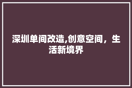 深圳单间改造,创意空间，生活新境界