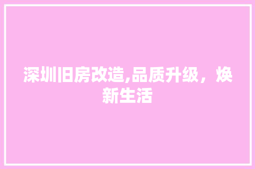 深圳旧房改造,品质升级，焕新生活