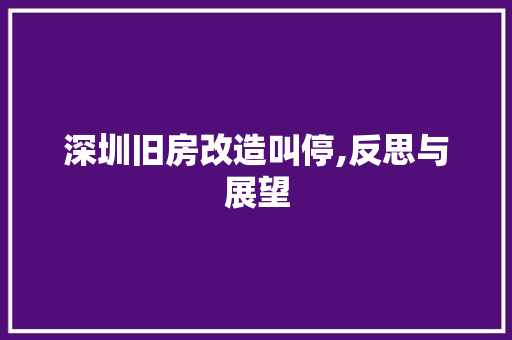 深圳旧房改造叫停,反思与展望
