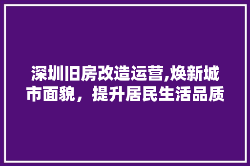 深圳旧房改造运营,焕新城市面貌，提升居民生活品质
