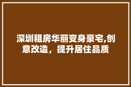 深圳租房华丽变身豪宅,创意改造，提升居住品质 地面装修