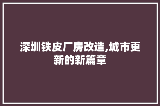 深圳铁皮厂房改造,城市更新的新篇章