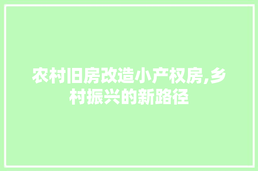 农村旧房改造小产权房,乡村振兴的新路径