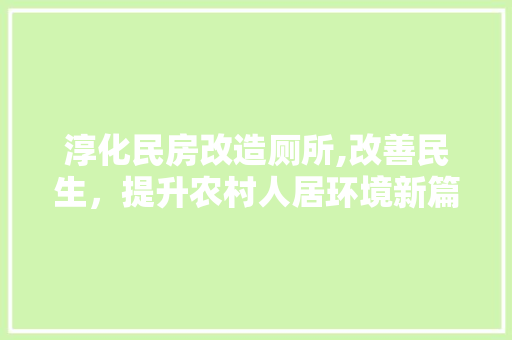 淳化民房改造厕所,改善民生，提升农村人居环境新篇章