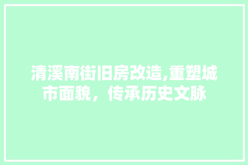 清溪南街旧房改造,重塑城市面貌，传承历史文脉