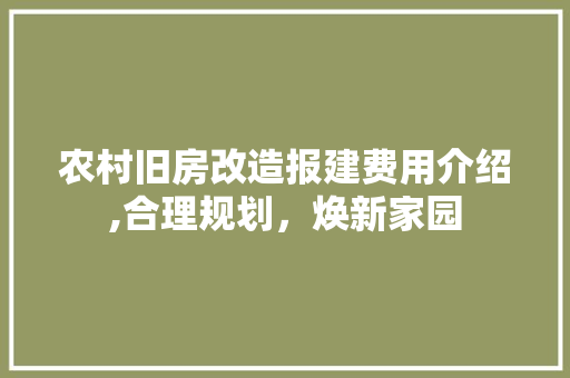 农村旧房改造报建费用介绍,合理规划，焕新家园