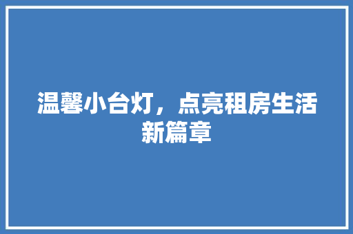 温馨小台灯，点亮租房生活新篇章