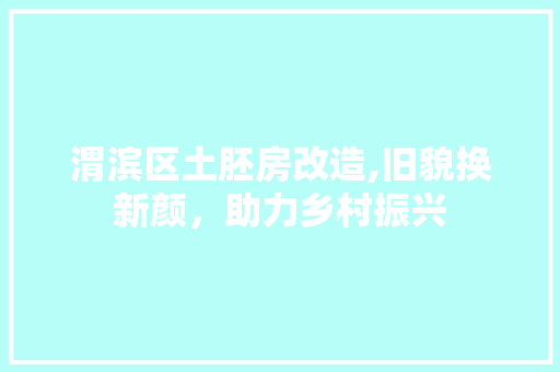渭滨区土胚房改造,旧貌换新颜，助力乡村振兴