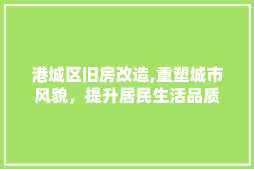 港城区旧房改造,重塑城市风貌，提升居民生活品质
