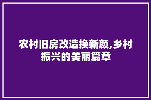 农村旧房改造换新颜,乡村振兴的美丽篇章