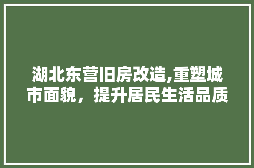 湖北东营旧房改造,重塑城市面貌，提升居民生活品质