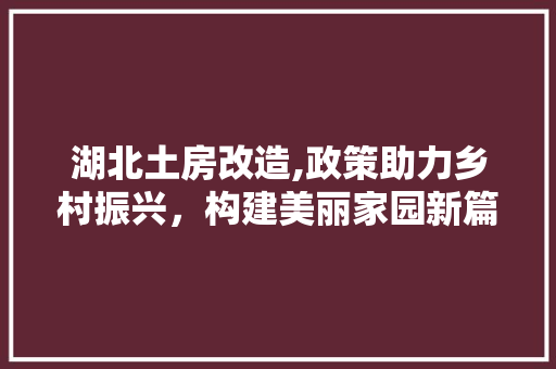 湖北土房改造,政策助力乡村振兴，构建美丽家园新篇章 装修攻略