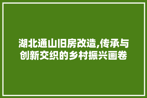湖北通山旧房改造,传承与创新交织的乡村振兴画卷