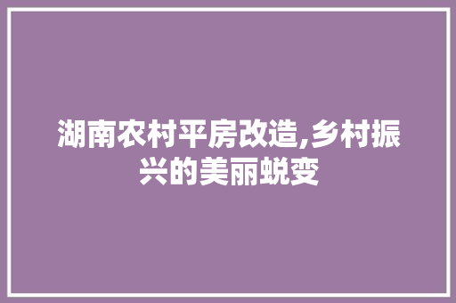 湖南农村平房改造,乡村振兴的美丽蜕变 墙面装饰