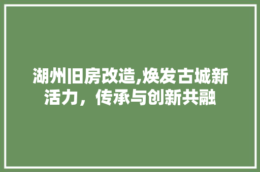 湖州旧房改造,焕发古城新活力，传承与创新共融