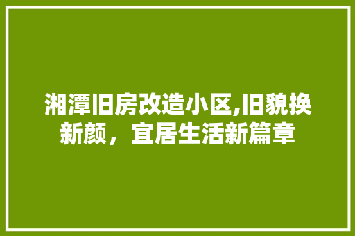 湘潭旧房改造小区,旧貌换新颜，宜居生活新篇章