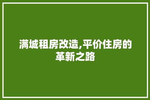 满城租房改造,平价住房的革新之路