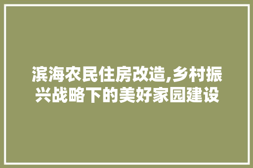 滨海农民住房改造,乡村振兴战略下的美好家园建设