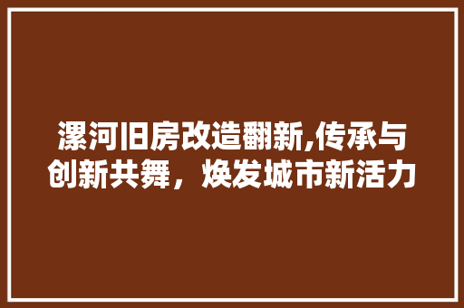 漯河旧房改造翻新,传承与创新共舞，焕发城市新活力 装修材料