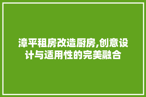 漳平租房改造厨房,创意设计与适用性的完美融合