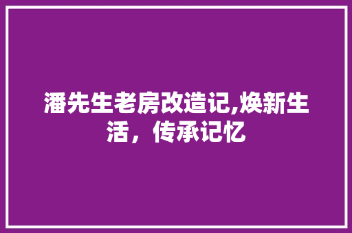 潘先生老房改造记,焕新生活，传承记忆