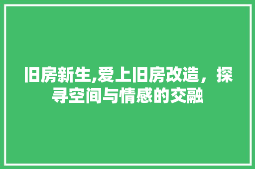 旧房新生,爱上旧房改造，探寻空间与情感的交融